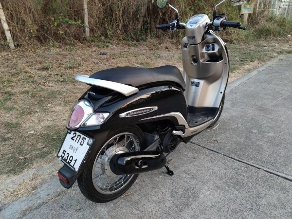 เก็บปลายทาง  Honda scoopy i สด-ผ่อน รูปที่ 3